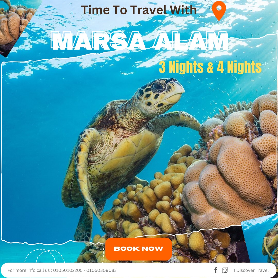 marsa allam